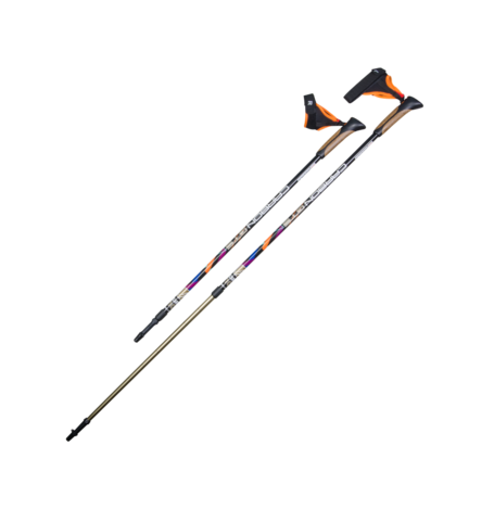 Палки для скандинавской ходьбы US Medica Carbon GTS