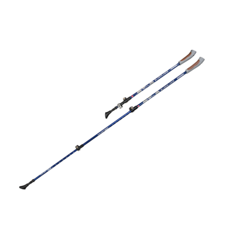 Палки для скандинавской ходьбы Yamaguchi Forward