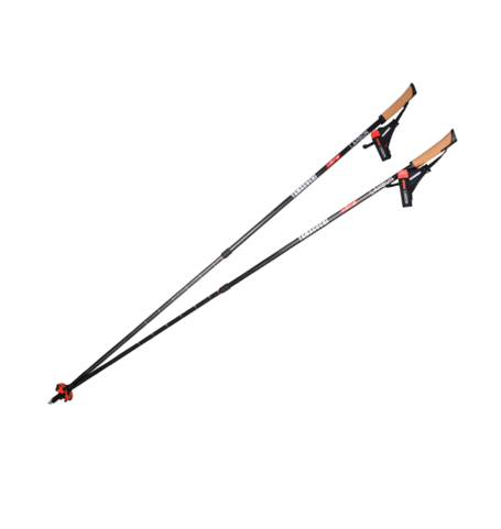 Палки для скандинавской ходьбы Yamaguchi Ultra Carbon