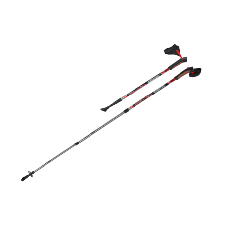 Палки для скандинавской ходьбы Yamaguchi Winner